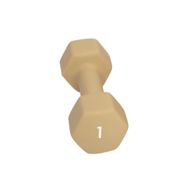 Abilica Abilica Dumbbell 1 Kg 374275 Lødingen Sport 1